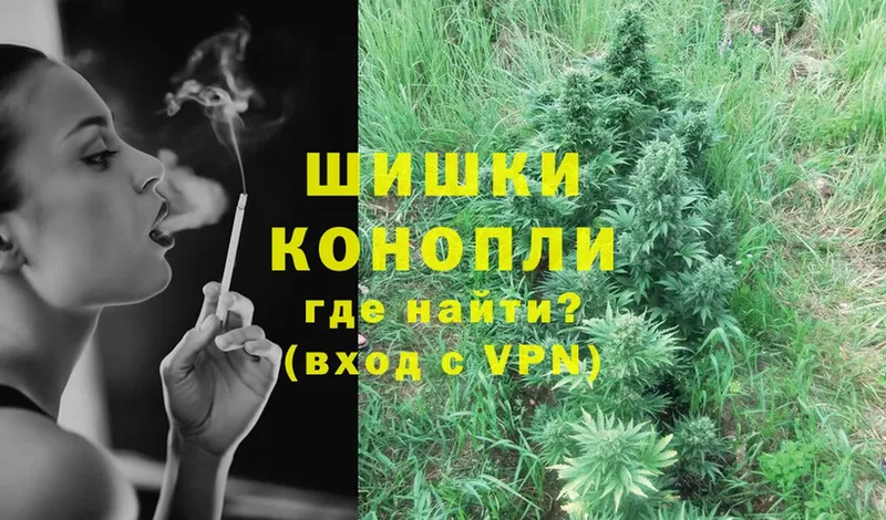 где найти   Сасово  Бошки марихуана SATIVA & INDICA 